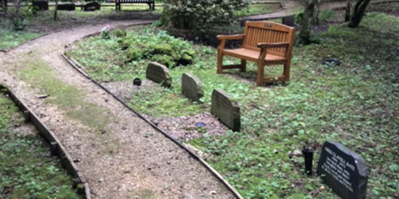 photograph of woodland area burial plots