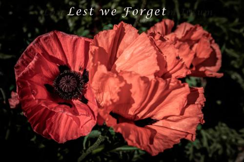 Remembrance Sunday 11th November 2018